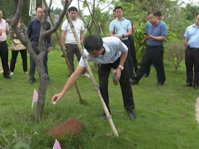 兴宁举行红火蚁防控工作现场推进会