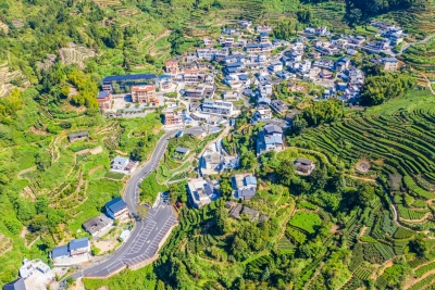 兴了茶产业 旺了农家乐！大埔公路路网完善成乡村振兴“加速器”