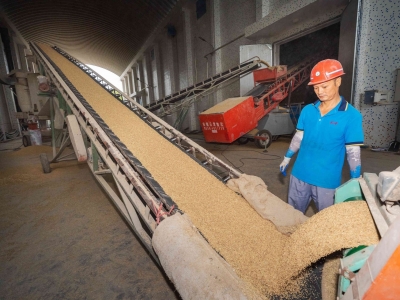 梅州：“硬核措施”稳定粮食生产，全力保障百姓“米袋子”安全 