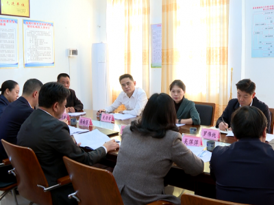 罗盛芬到大埔县调研发展壮大农村集体经济工作