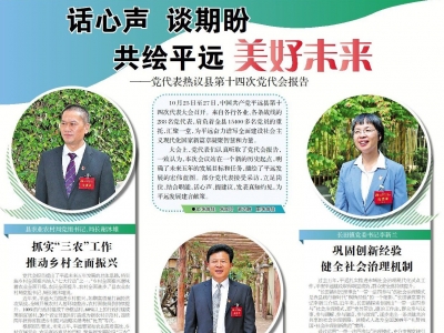 话心声 谈期盼 共绘美好未来！党代表热议中共平远县第十四次代表大会报告