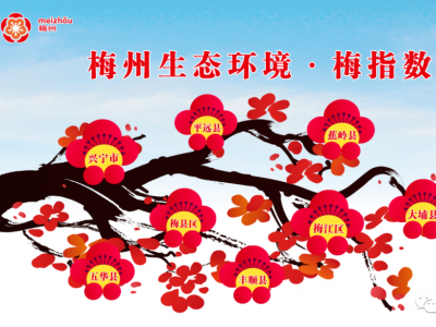 平远第一！11月空气质量“梅指数”发布