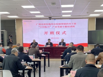 广州市派驻梅州市驻镇帮镇扶村干部“乡村振兴”产业发展专题培训班开班：探索产业路径 助力乡村振兴