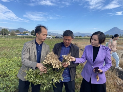 尝尝巩固脱贫攻坚成果的“金豆豆”！一场品鉴会在平远举办