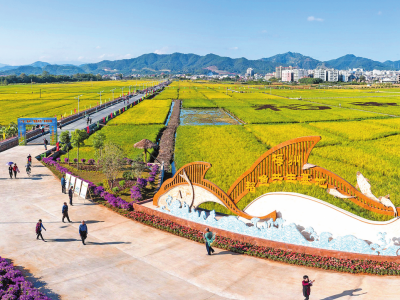 聚焦党代会丨统筹城乡发展，推进乡村全面振兴