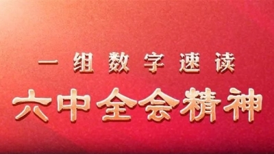 一组数字速读六中全会精神