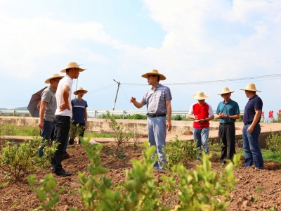 蕉岭县新铺镇驻镇帮扶工作队队长丘旭宁：近乡情深是驻镇帮扶的最大驱动力