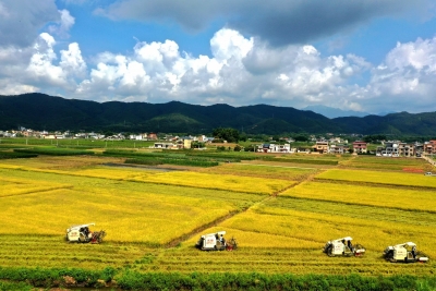 蕉岭上榜“全国农业社会化服务创新试点县”名单