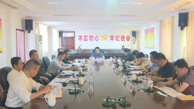 刘鸿涛主持召开石窟河一河两岸管控研究工作汇报会：全面提升河岸风貌 全力建设“五宜城乡”