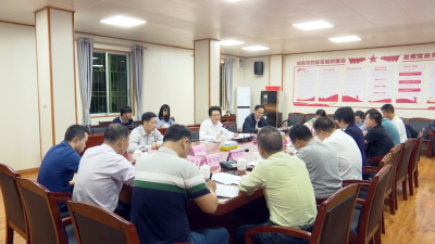 刘鸿涛到新铺镇、三圳镇调研：抢抓新机遇争创新优势 高质量书写乡村振兴“新答卷”