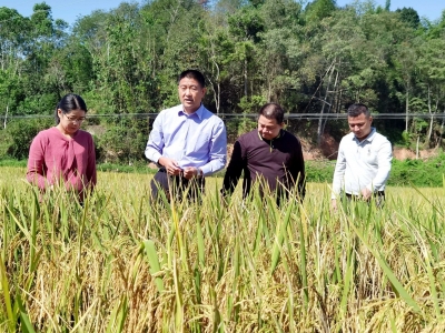 从陌生人变成了“自家人”！来听听潘田镇驻镇帮扶工作队队长邹德明的故事