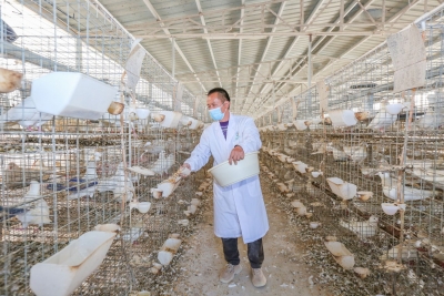 五年蝶变话梅州丨梅州积极用好就业扶持政策多方发力让群众收入有保障：家门口就业带来稳稳的幸福！