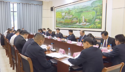 刘鸿涛参加代表团讨论：坚持规划引领 补齐短板弱项 加快乡村振兴