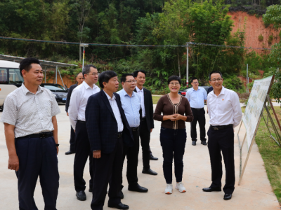 宋才华到兴宁市大坪镇调研：“四抓四提升”激活红色基因 赋能乡村振兴