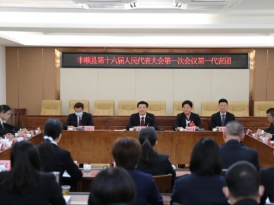 张志锋参加丰顺县十六届人大一次会议第一代表团分组讨论