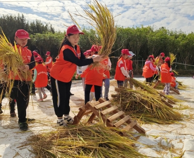 探秘“一粒米的诞生”，体验丰收喜悦！梅州日报社小记者开展这个研学活动