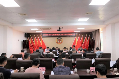 丰顺县政协召开传达学习贯彻十九届六中全会精神会议