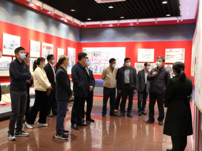 广州市部分十三届全国人大代表到大埔调研