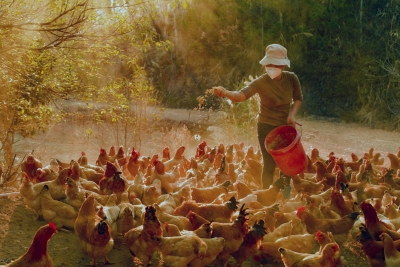 品读平远·程乡