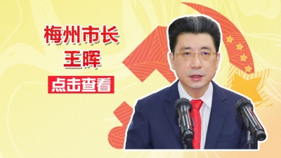 梅州市市长王晖活动报道集