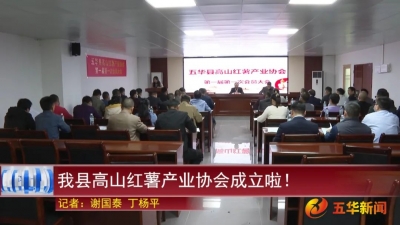 五华县高山红薯产业协会成立！