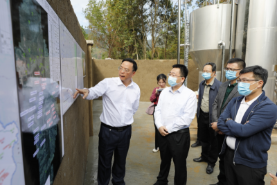 陈金銮率队调研基层工作  扎实推进“九大攻坚”行动