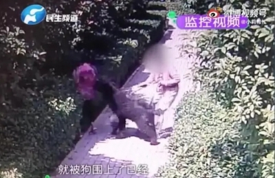 河南安阳对多名涉“狗咬人”事件干部作出处理