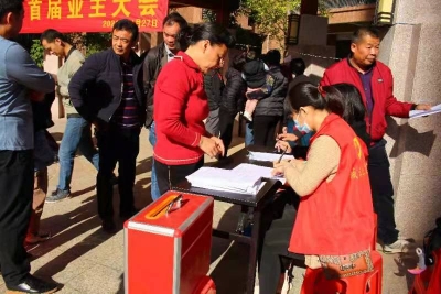 大埔首个以投票选举方式产生的业主委员会正式成立