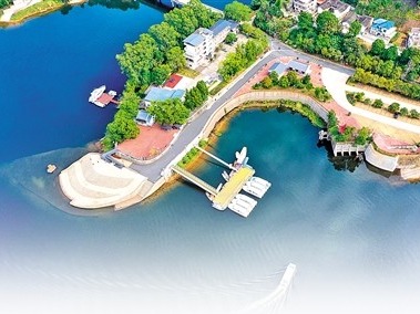 寿乡蕉岭·桂花