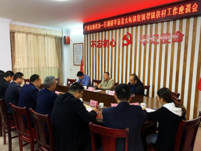 广州市协作办副主任陈震一行到平远县大柘镇调研乡村振兴驻镇帮镇扶村工作