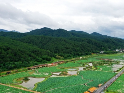 蕉岭九岭村入选中国美丽休闲乡村监测合格名单