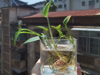 今天你晒太阳了吗？寒冷预警解除，梅州未来几天气温回升