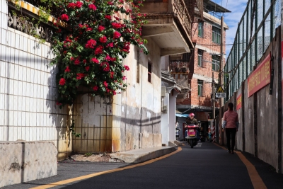 出行更畅通 生活有奔头！条条民心路铺进百姓心坎里