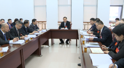 洪国华深入宁中宁新代表团继续审议《政府工作报告》