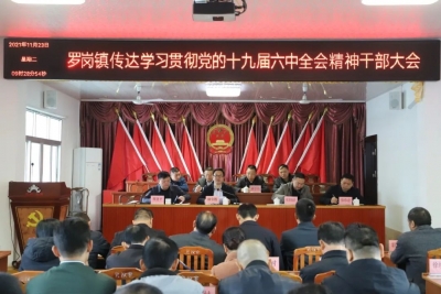 兴宁市罗岗镇集中学习传达党的十九届六中全会精神
