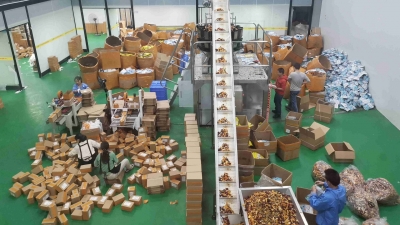 梅州市实现快递行业群团组织全覆盖