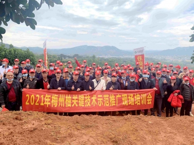 冬季管理关键期，梅州柚要如何科学管护？这场培训会话你知...