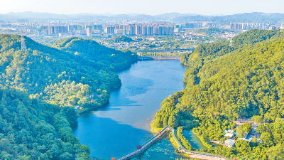 聚焦党代会丨过去五年，生态优势、文化优势巩固提升！