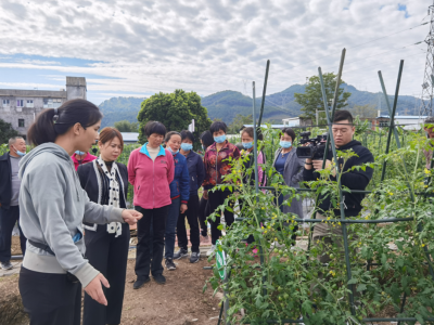 专家“出诊”田间地头！为梅州种植户提供“技术支持”~
