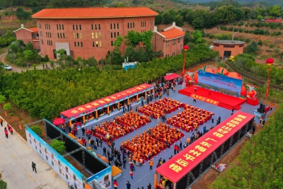 脐聚果园，橙现丰收！平远县第十七届脐橙文化旅游节侧记