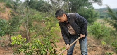 “光伏贷”“梅片贷”“平橙贷”...平远农商行推出系列“特色贷”产品助力乡村振兴