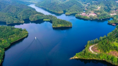 长潭一子落，全域一幅画！蕉岭这样深层次释放旅游红利...