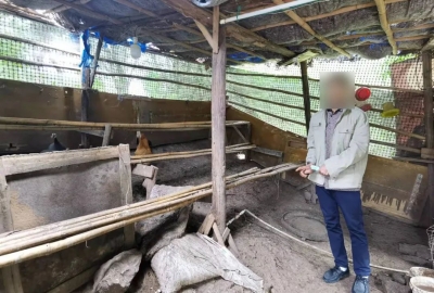 刑满释放再行窃，这个“偷鸡大盗”落网了！