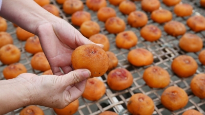 甜甜又糯糯！平远这里“柿”意盎然！