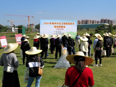 梅州市红火蚁防控技术培训班举行！