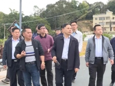 “广东十大美丽乡村”考察组到丰顺实地考察