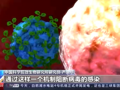 我国自主知识产权新冠抗体药物有效性获世界认可