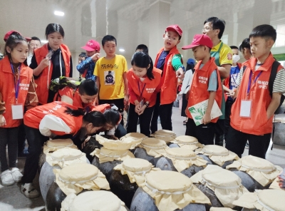 登南台览风光，访酒乡识禾米~梅州日报社小记者走进平远