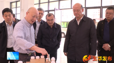 黄斌民一行到五华调研柚果产业发展 