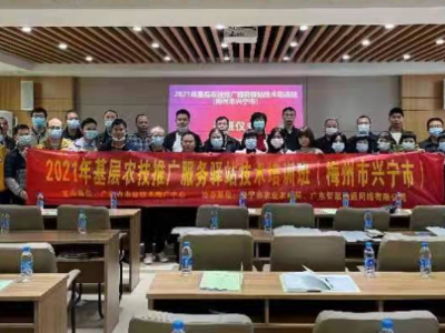 解决重点难点问题！兴宁这场培训活动来为基层农技人员“划重点”了
